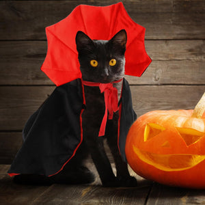 《THE VAMPIRE COUNT》CAT AND DOG DRESS UP