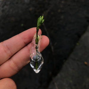 Floral Perfume Earrings | The Aroma Diffuser Collection