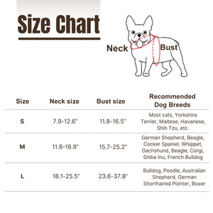 《SPIDER CRAWLER》CAT AND DOG DRESS UP