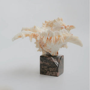 Ocean's Light-Crystal-Infused Ocean Energy Candle