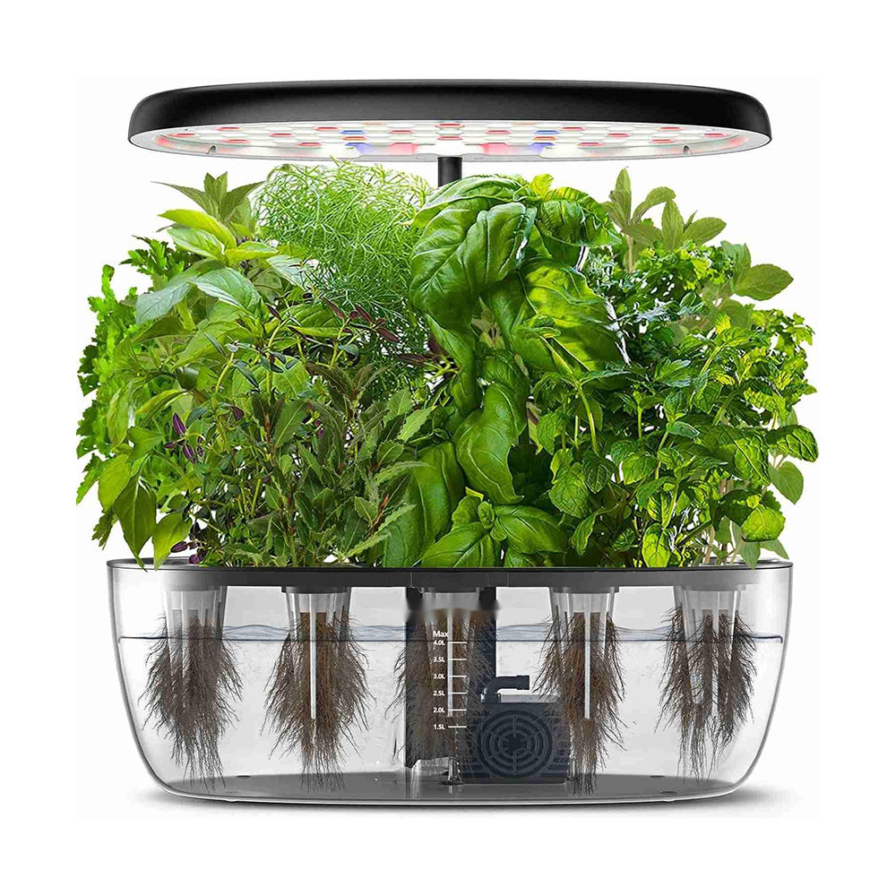 Hydroponics Indoor Garden