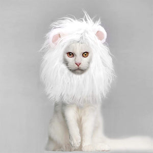 《LION KING CAT》CAT DRESS UP