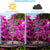 Solar Bird Bath Fountain