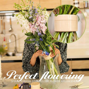 Spiral Stem Holder for Flowers