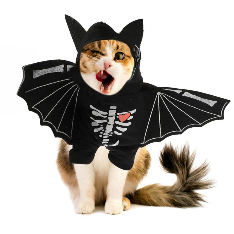 《BONE WINGS DEMON KING》CAT AND DOG DRESS UP