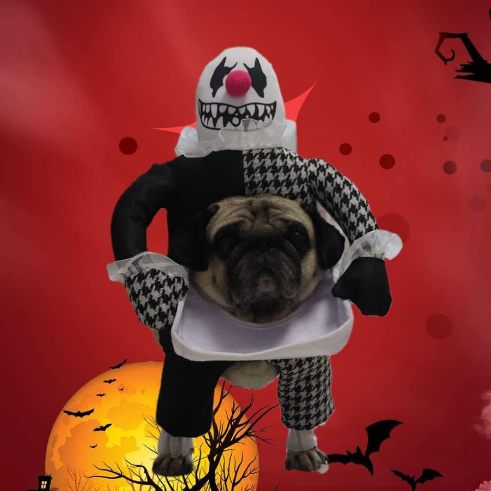 《CLOWN DEVIL》CAT AND DOG DRESS UP