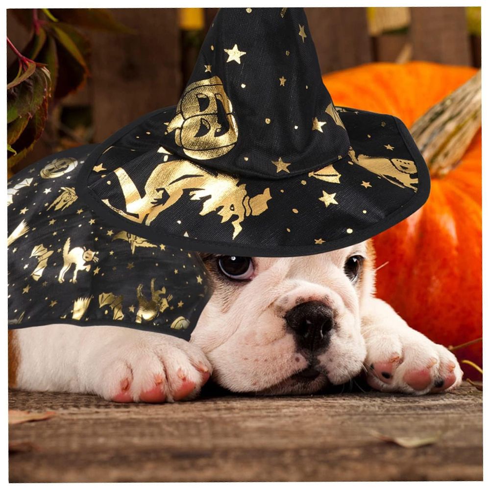 《THE WITCH&#39;S ESCORT》CAT AND DOG DRESS UP