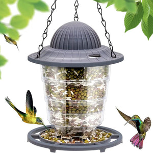 Bird Feeder
