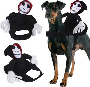 《GHOST RIDER》CAT AND DOG DRESS UP