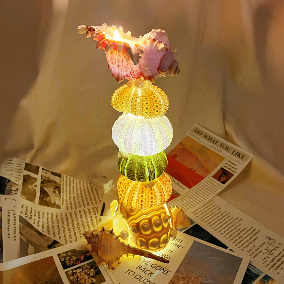 Natural Marine Specimen DIY-Light