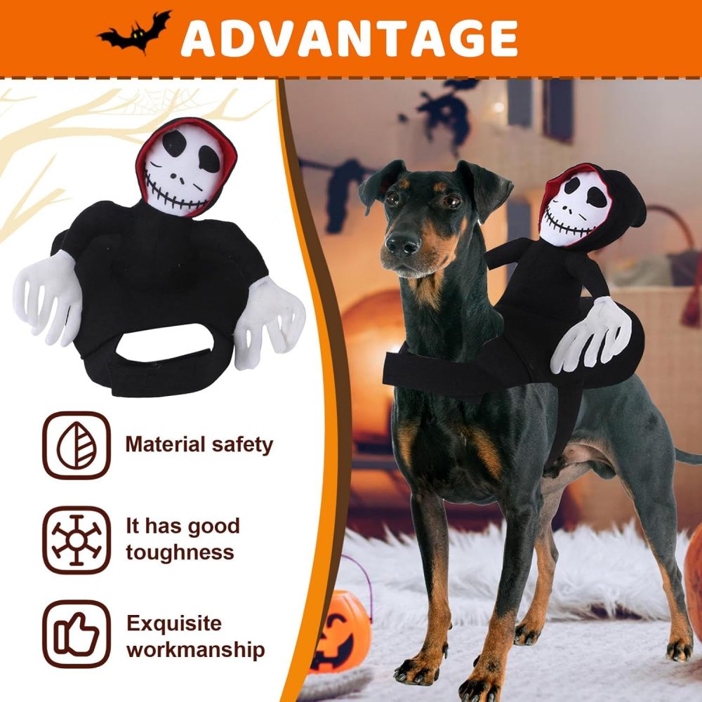 《GHOST RIDER》CAT AND DOG DRESS UP