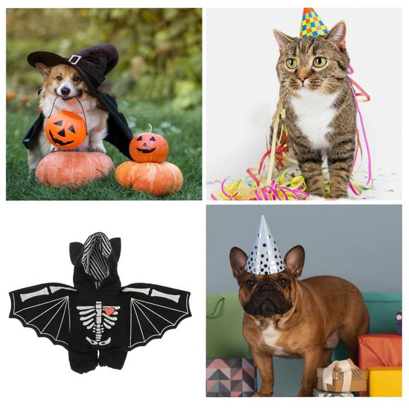 《BONE WINGS DEMON KING》CAT AND DOG DRESS UP