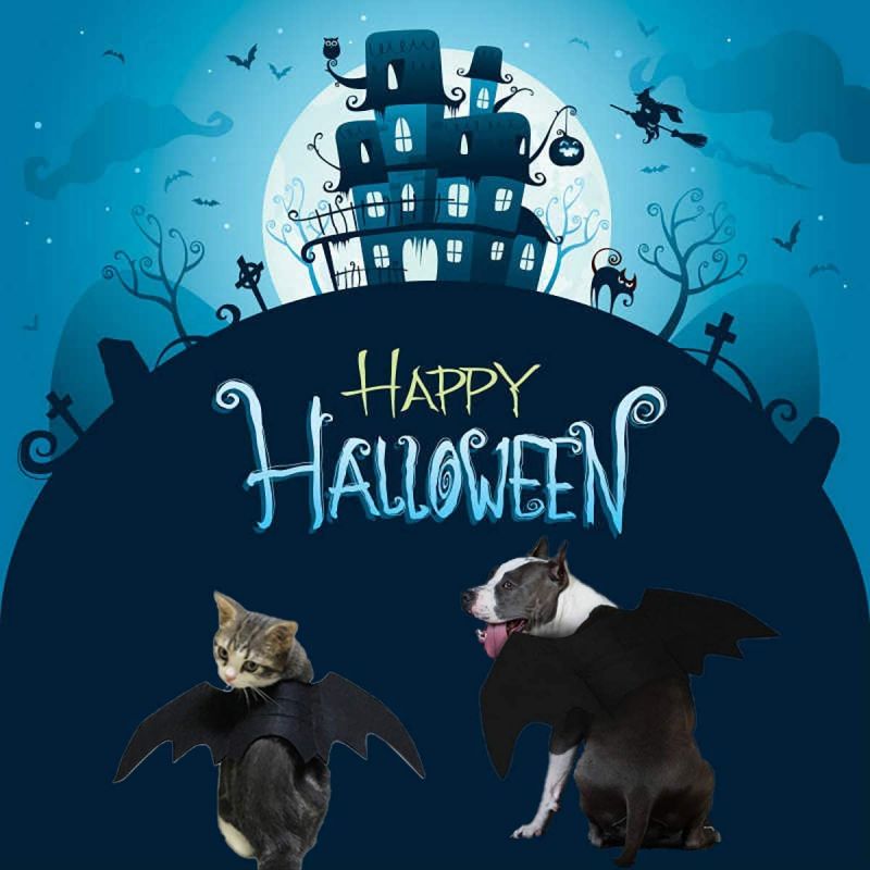 《DARK KNIGHT》CAT AND DOG DRESS UP