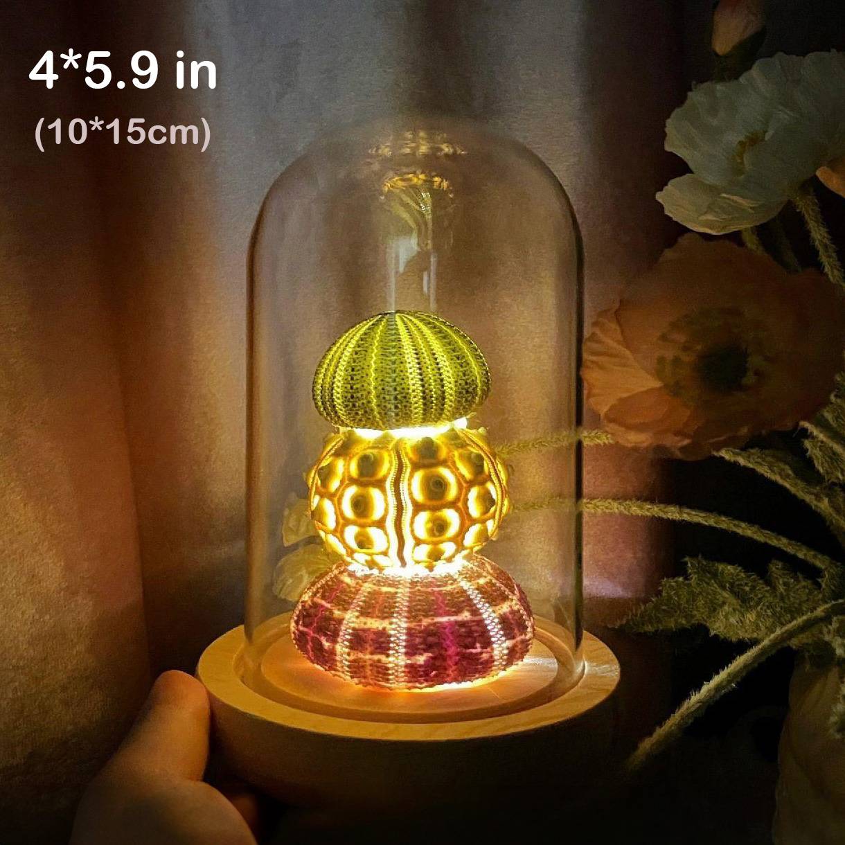 Natural Marine Specimen DIY-Light