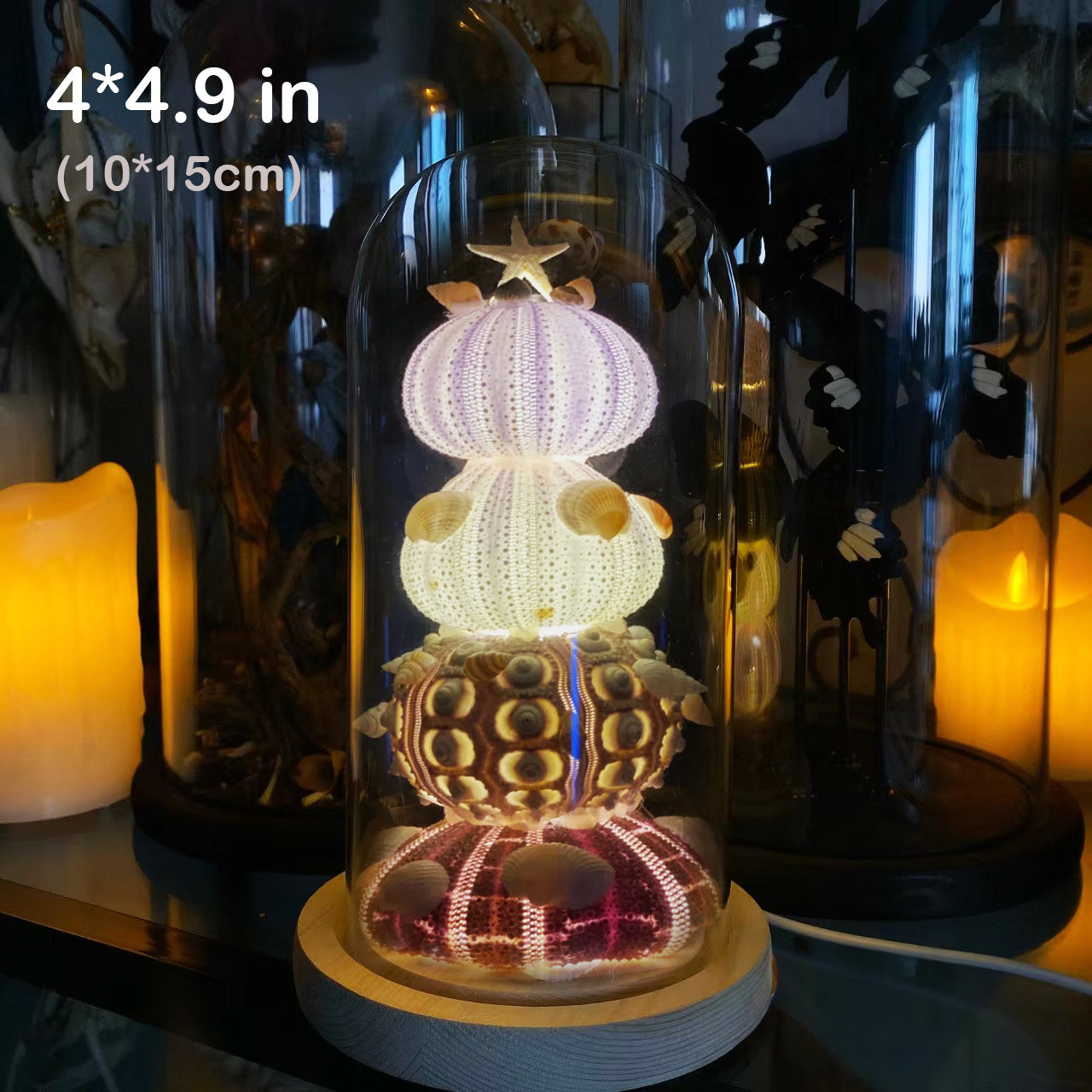 Natural Marine Specimen DIY-Light