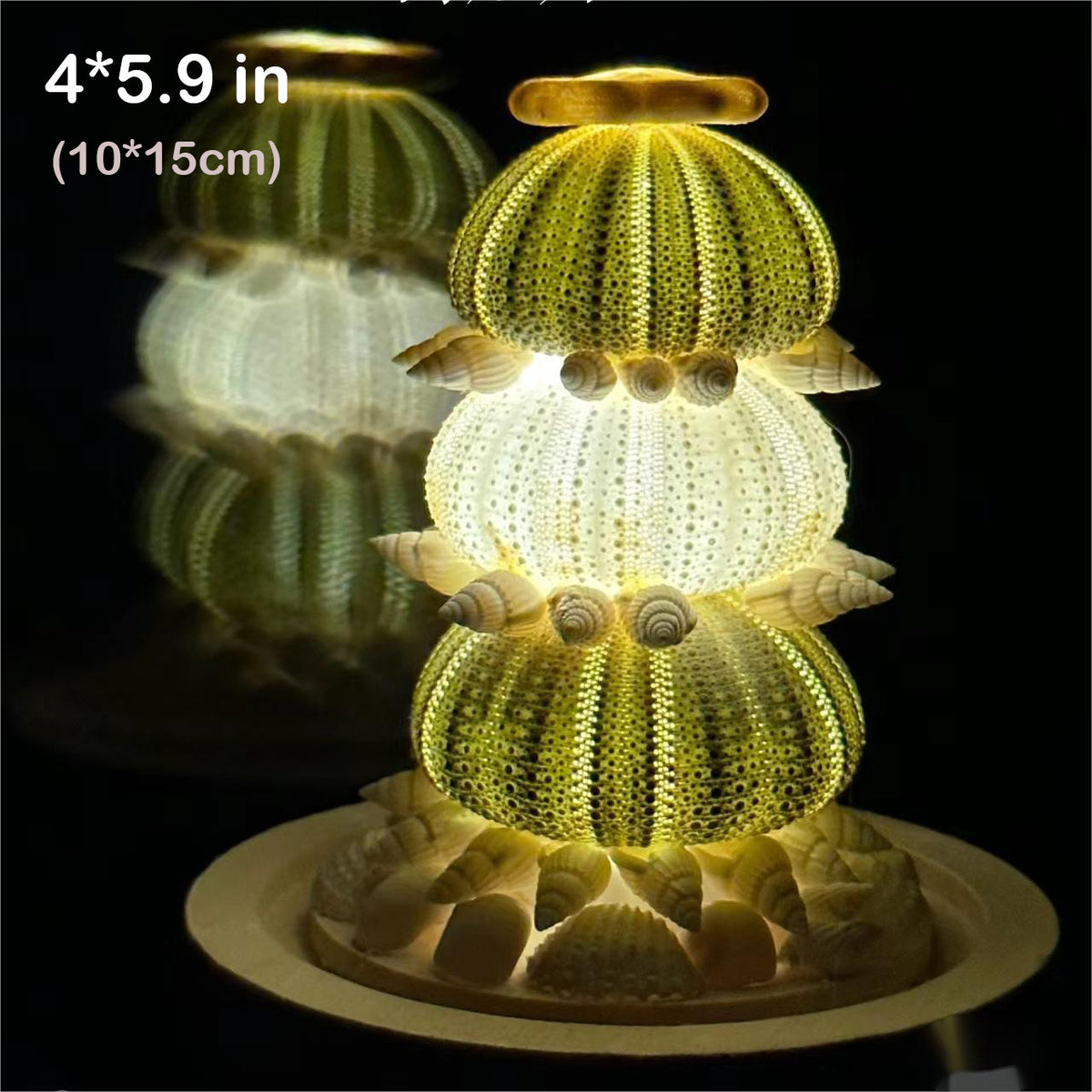 Natural Marine Specimen DIY-Light