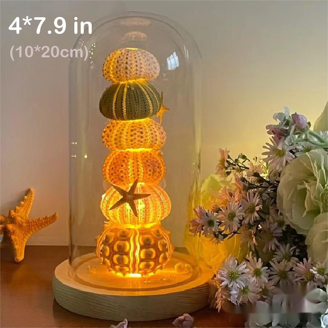 Natural Marine Specimen DIY-Light