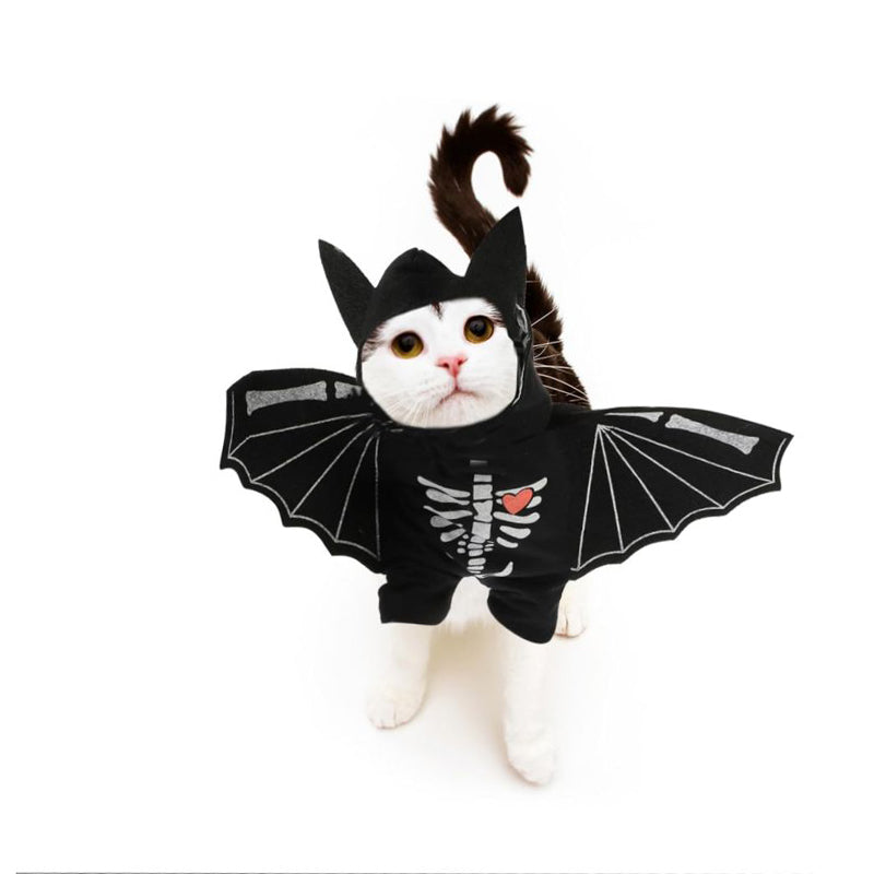 《BONE WINGS DEMON KING》CAT AND DOG DRESS UP