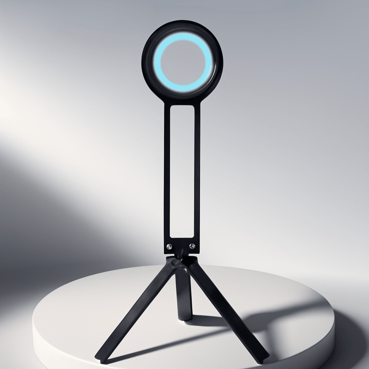 Carabiner Mobile Phone Holder