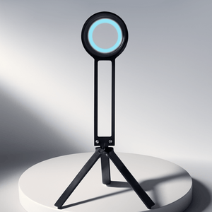 Carabiner Mobile Phone Holder