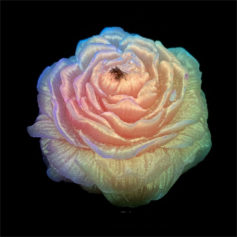 Fluorescent style Luminous Rose Low Temp Candles