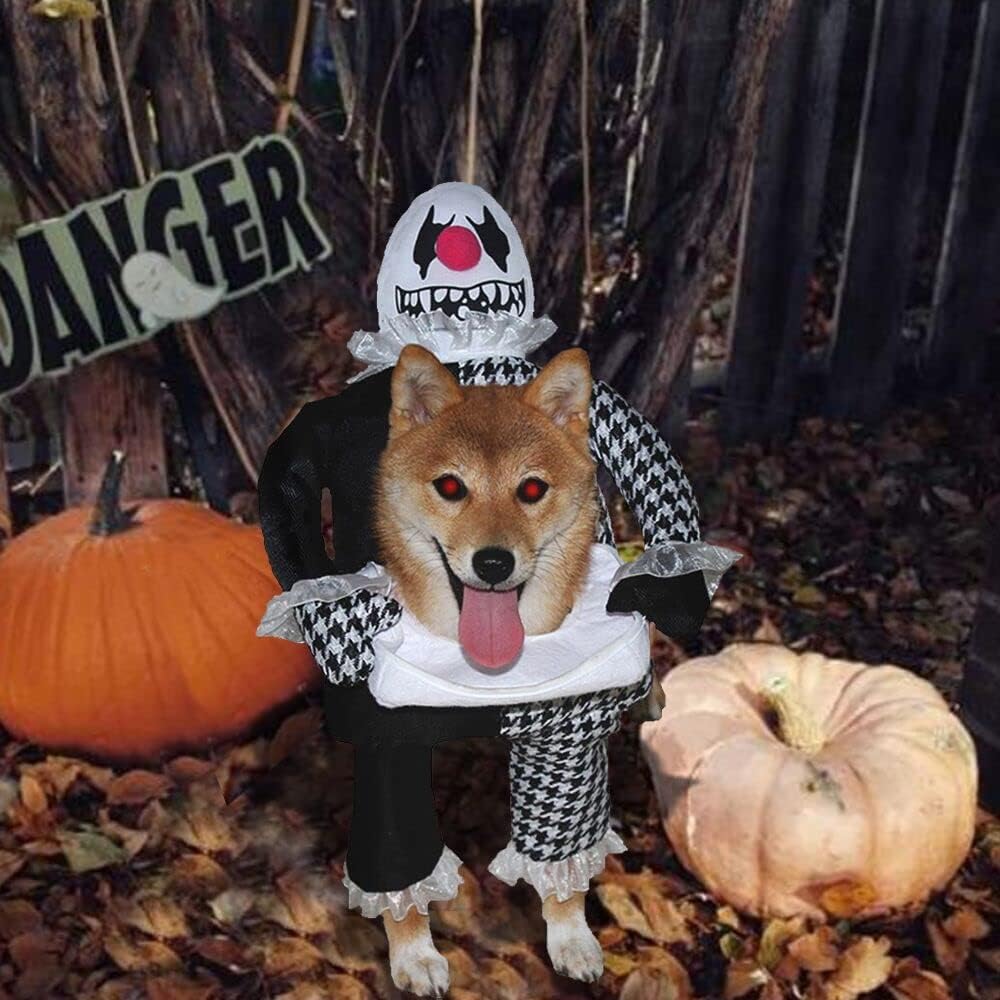 《CLOWN DEVIL》CAT AND DOG DRESS UP