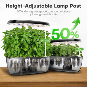 Hydroponics Indoor Garden