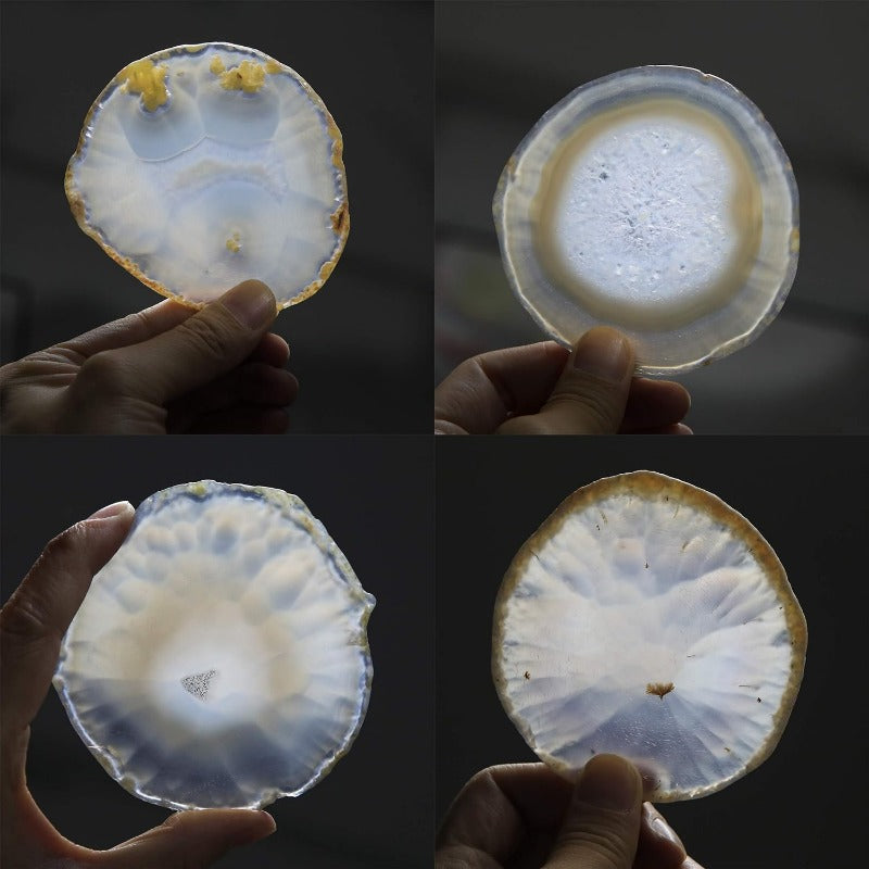 Four Seasons Agate Coaster