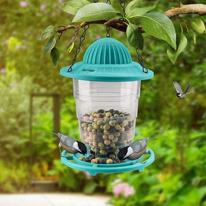 Bird Feeder