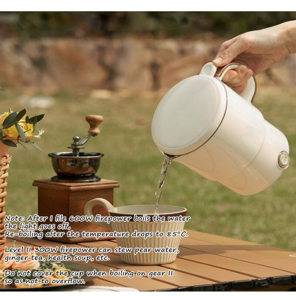 Portable Electric Kettle(US Plug 110V)