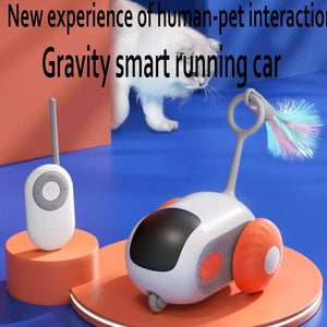 Crazy-Joy Car Remote Control Electric Cat Toy
