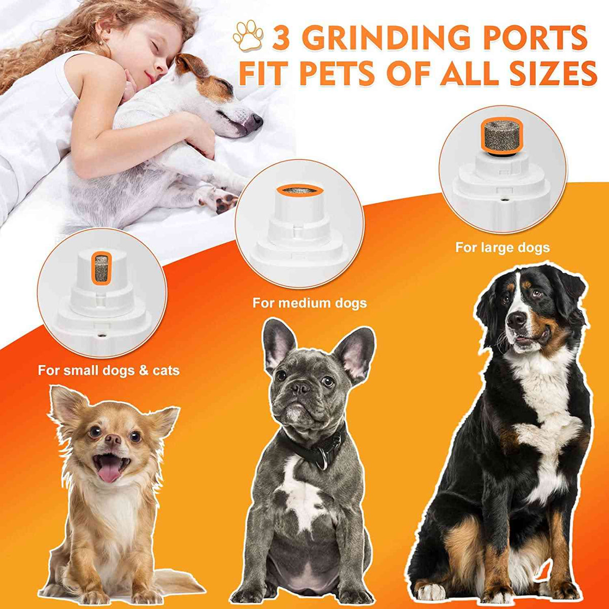 Upgraded 2 IN 1 Pet Nail Grinding - GLADWARES ™